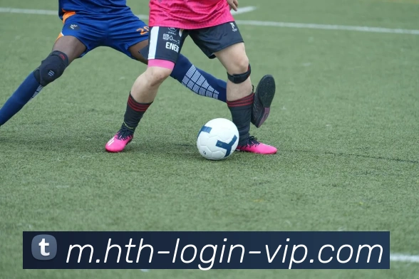 华体会服务体系